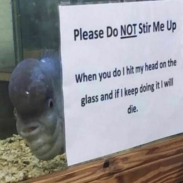 Random-Cursed-Pictures