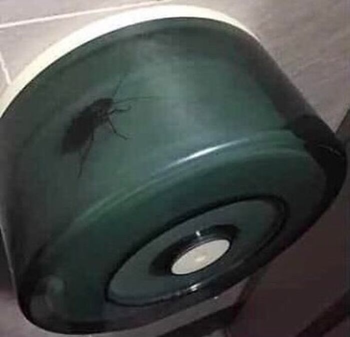 Random-Cursed-Pictures