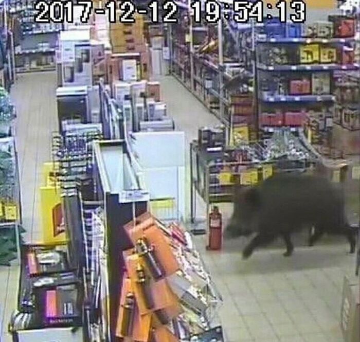 Random-Cursed-Pictures