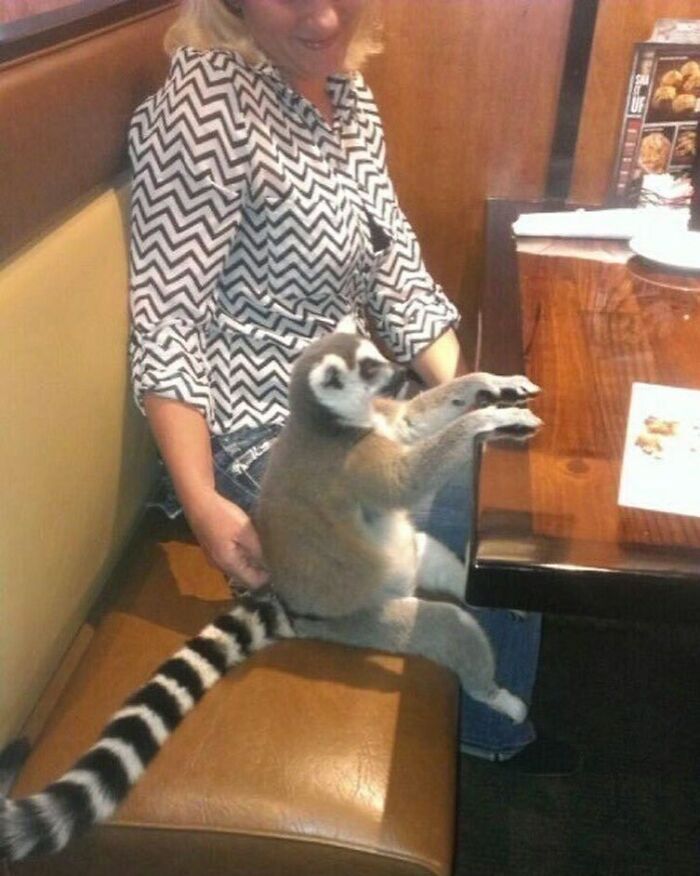 Random-Cursed-Pictures