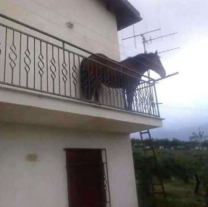 Random-Cursed-Pictures