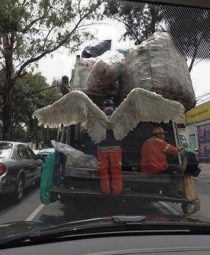 Random-Cursed-Pictures