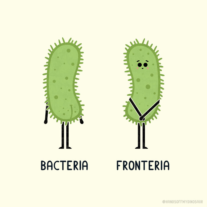 Bacteria