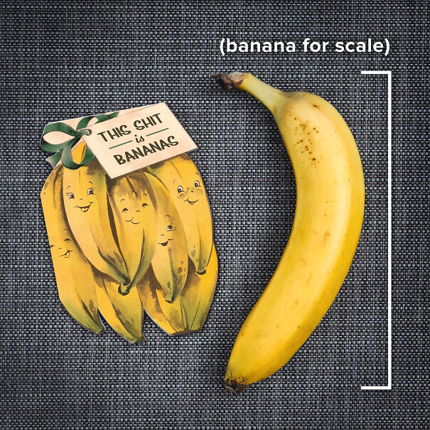 Banana-for-Scale-64cc90a05f405.jpg