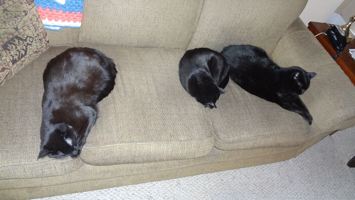 Fletcher, Nickie, And Asta