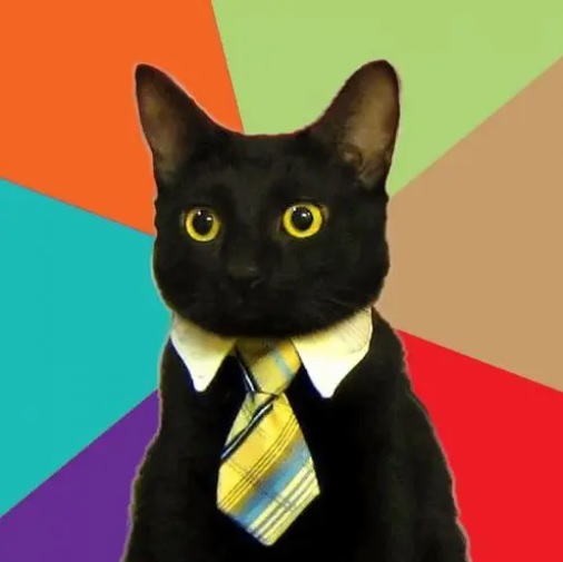 Business-cat-64e8703b23fc6.jpg