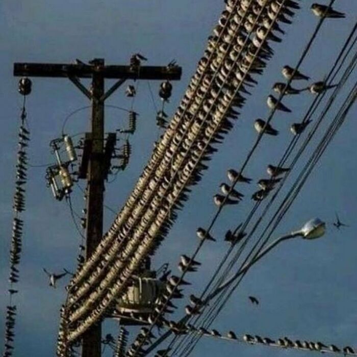 Random-Cursed-Pictures