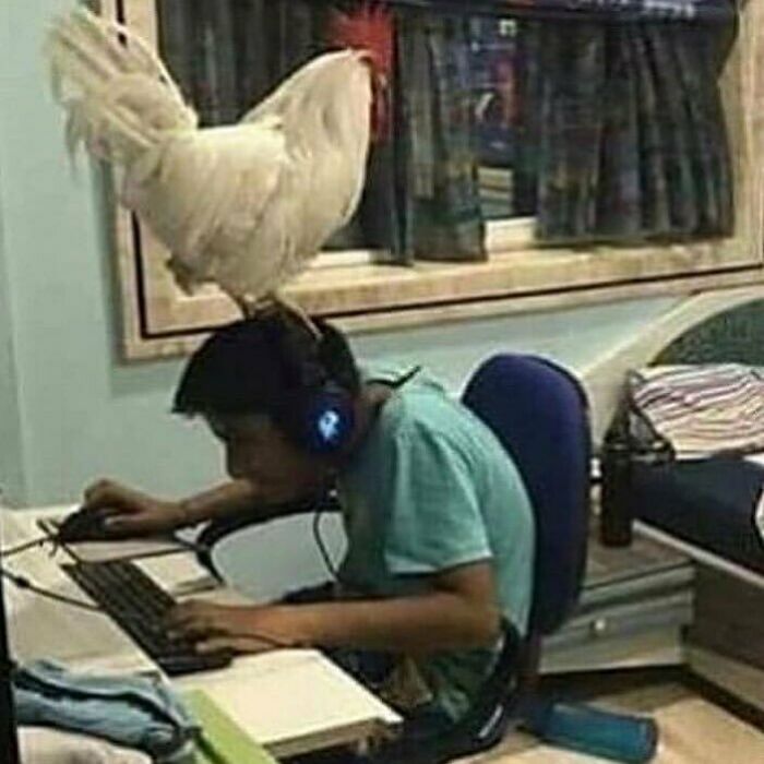 Random-Cursed-Pictures