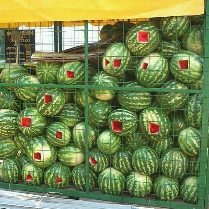 Random-Cursed-Pictures