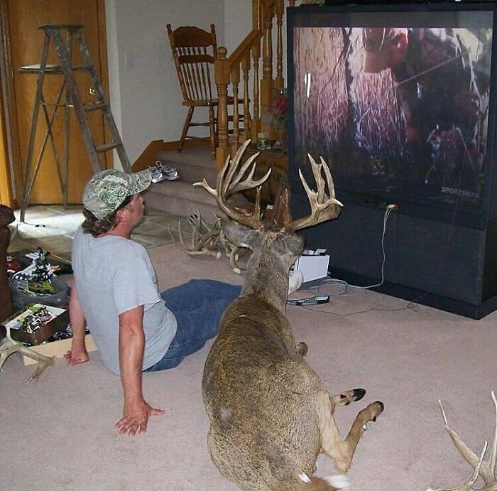 Random-Cursed-Pictures