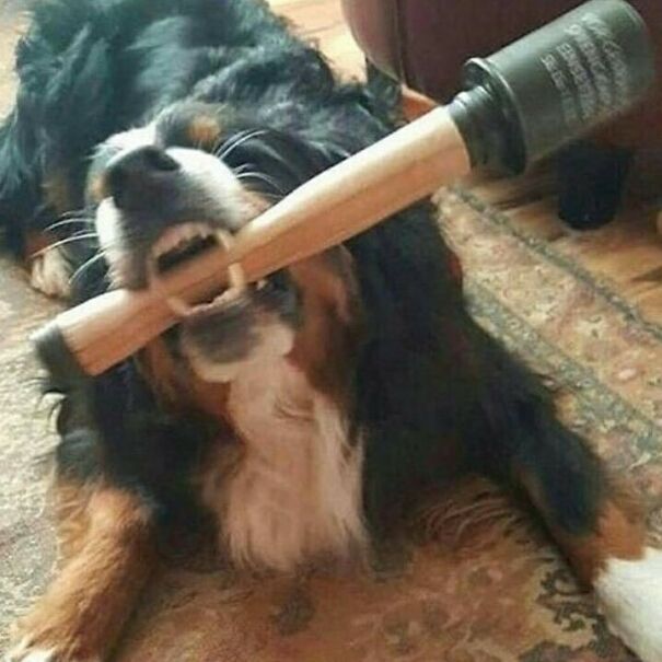 Disturbing-Cursed-Images