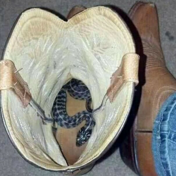 Disturbing-Cursed-Images