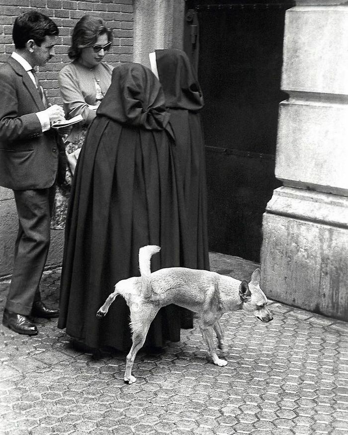 Irreverent Nuns And A Dog, Madrid, 1960. (Photo By Manuel Iglesias)