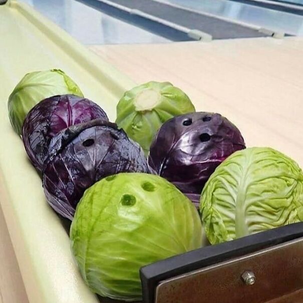 Disturbing-Cursed-Images