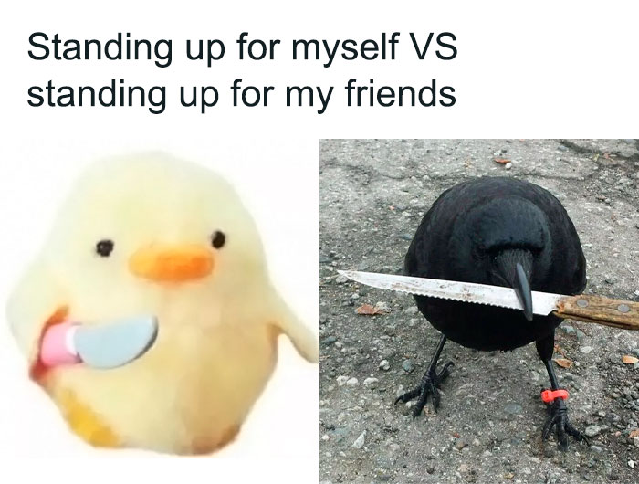 A cute chick with a small knife and a crow with a big knife captioned "Standing up for myself vs. standing up for my friends."