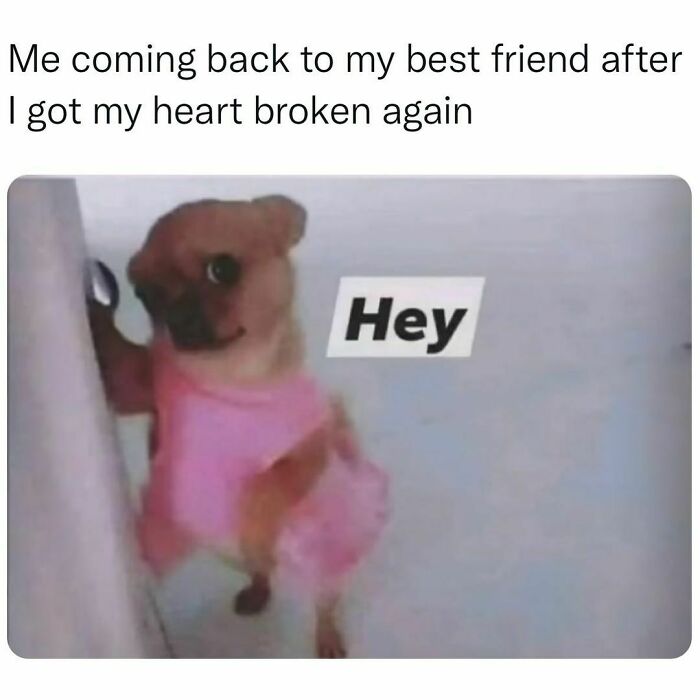 A dog in a pink dress at a door with "Hey" text, representing relatable friendship memes.