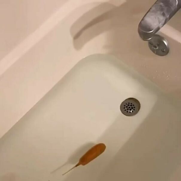 Disturbing-Cursed-Images