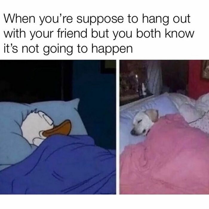 Funny-Relatable-Memes-Mybestiesays