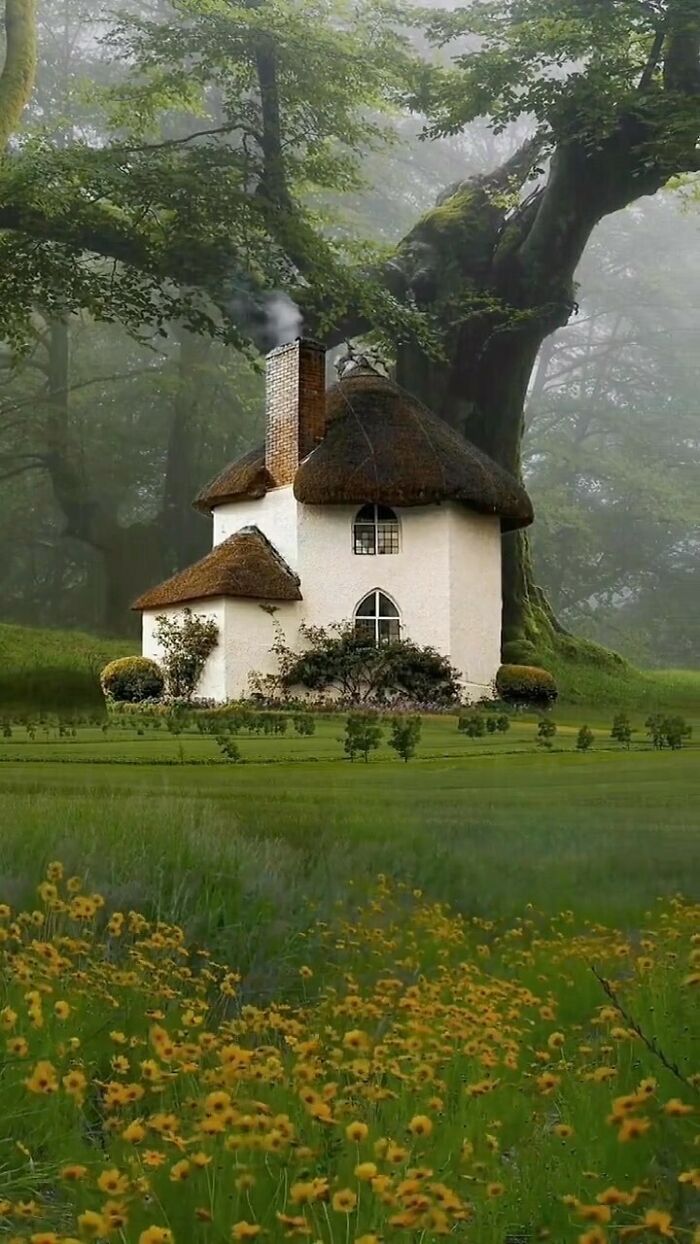 Magical Cottage