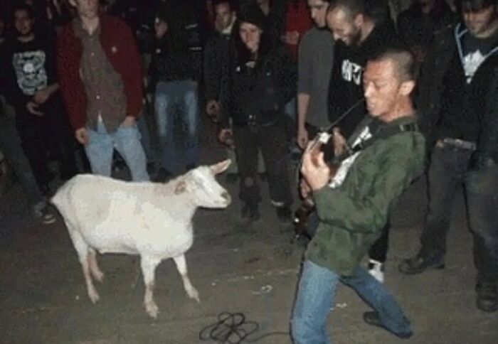 Random-Cursed-Pictures