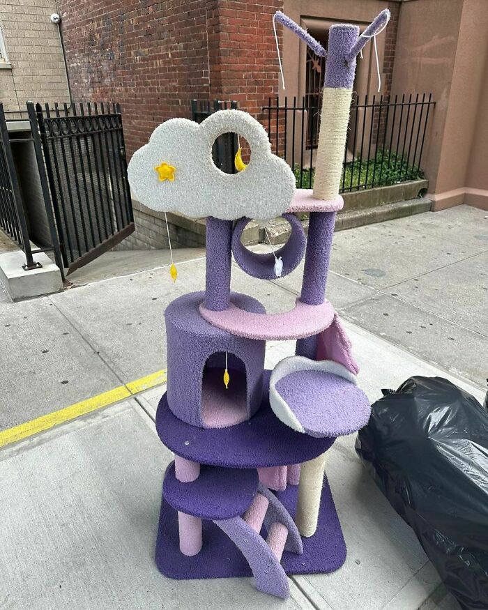 Cat Post Of Their Dreams! This Is On 29th And 3rd Ave!