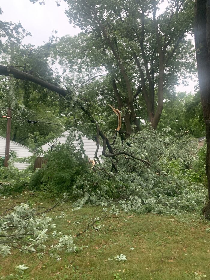 Derecho June 29th, No Power For 6 Days. Over 1000 Power Poles Were Destroyed, And Thousands Of Trees