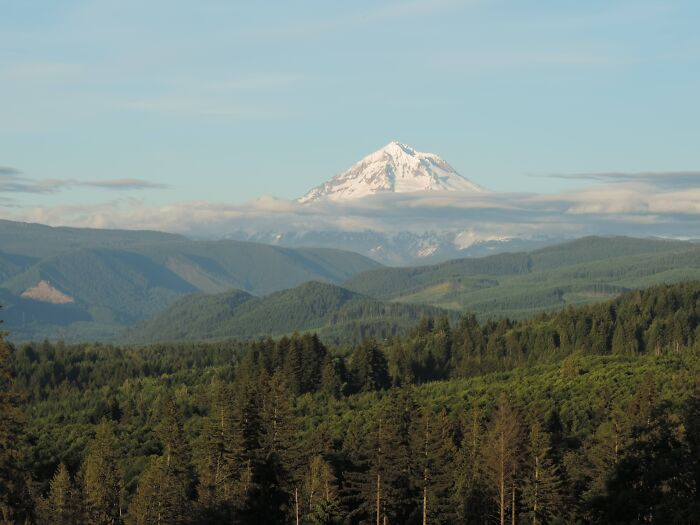 Mt. Hood From A Family Members Backyard !