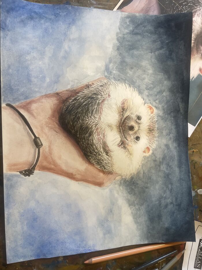 Just A Hedgehog I Painted A Few Months Ago