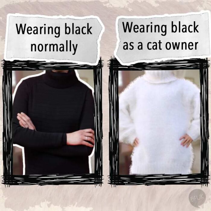 Black Shirt Struggle