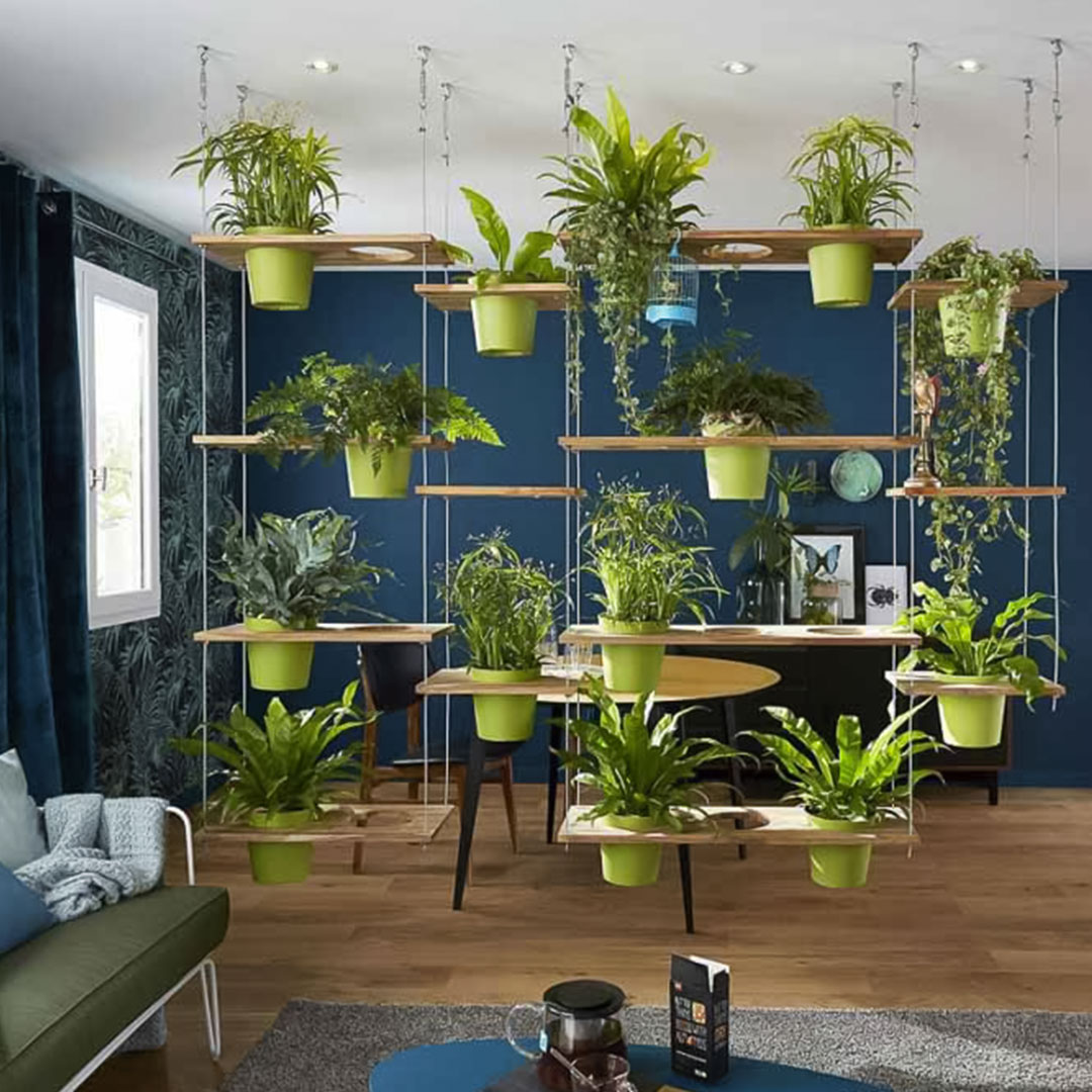 Many green flower pot succulents hanging as a room divider in a living room