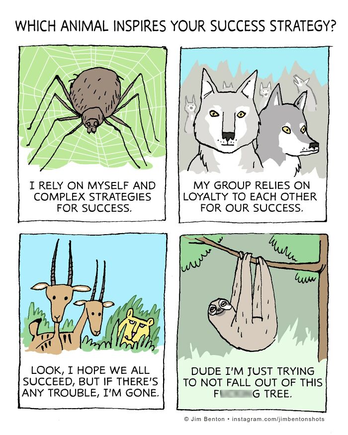 Here Are New Side-Splitting Jim Benton Funny Comics That Will Have You In Smile