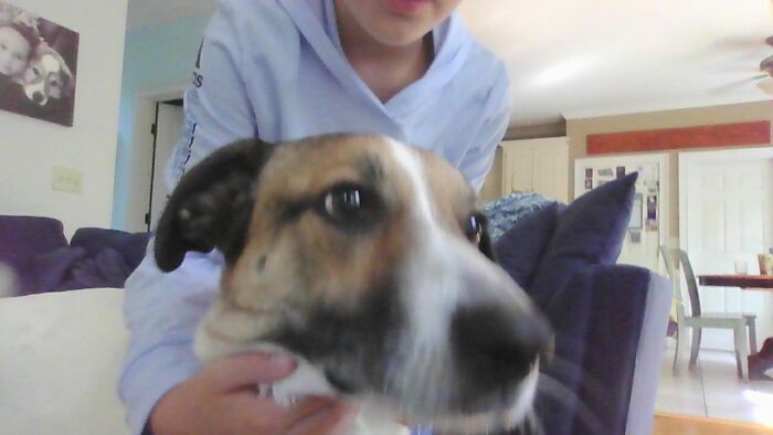 Well, I Try To Take Good Photos