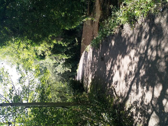 A Path In One Of My Local Green Spaces