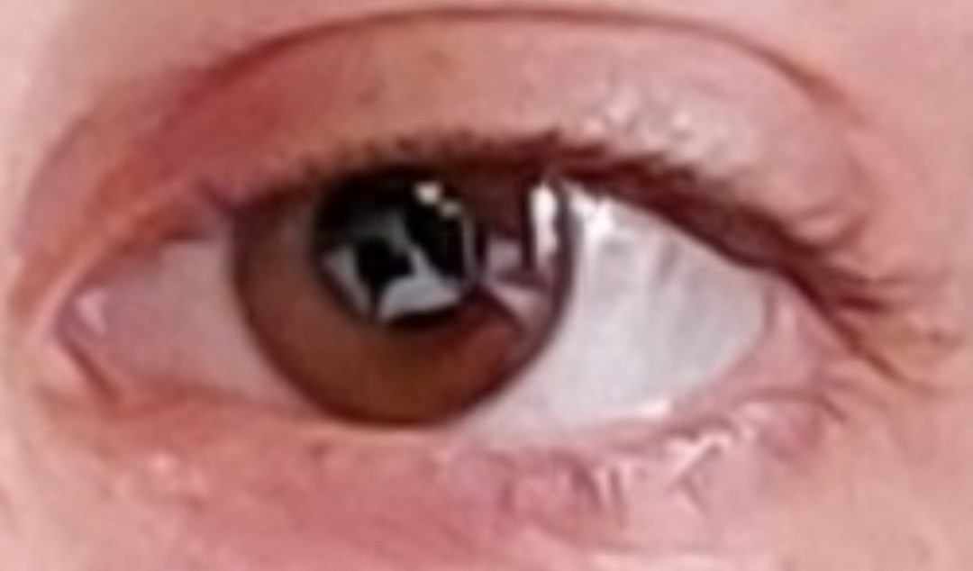 Hey Pandas, Show Us Your Eyes