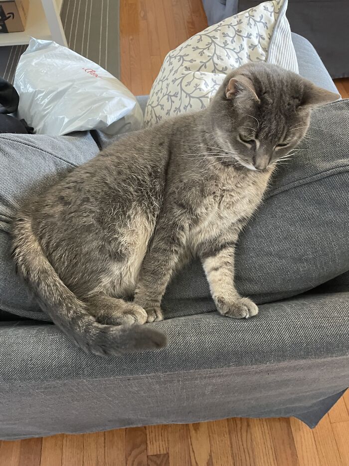 I Found The Best Photos Of My Pets