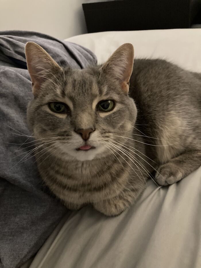 I Found The Best Photos Of My Pets