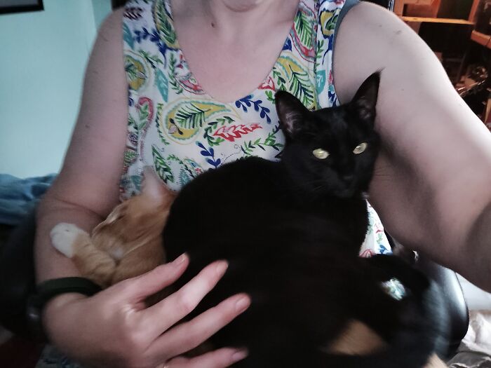 Cara Using Her Big, Dumb, Ginger Brother For A Seat Cushion