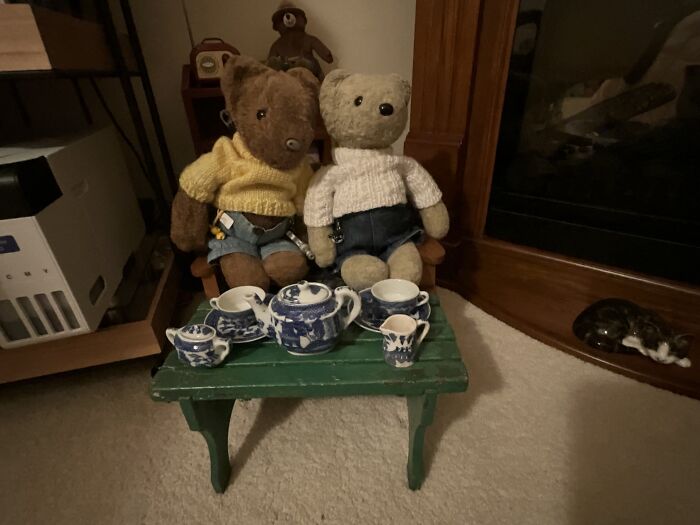 Bunky And Bj, Have Travelled Every Vacation With Us For 35 Years. Tbnk - Two Bears, No Kids