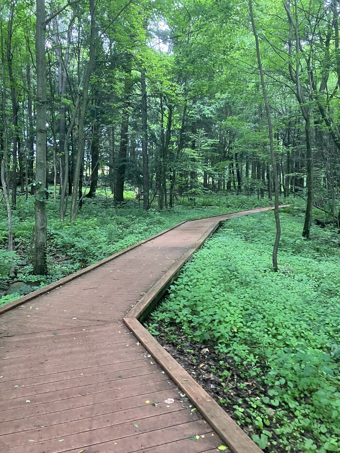 At My Favorite Birdwatching Spot Near My Grandparents House