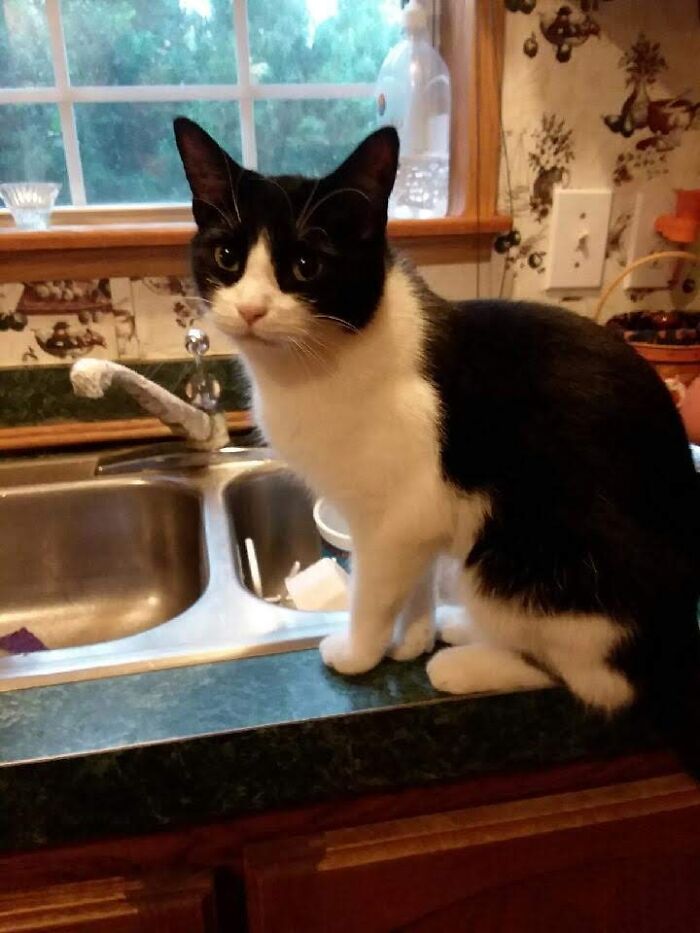 My Little Girl, Baby Aka Catfish. She Turns The Sink On When She Wants Water