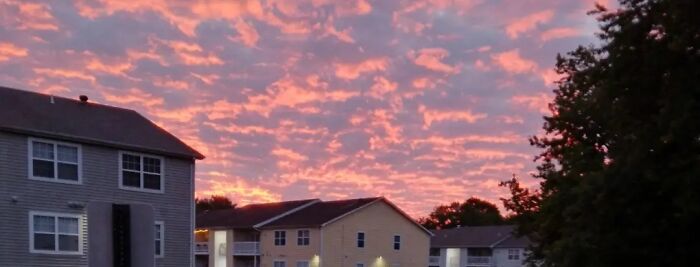 I Actually Was Just Waiting For My Bus