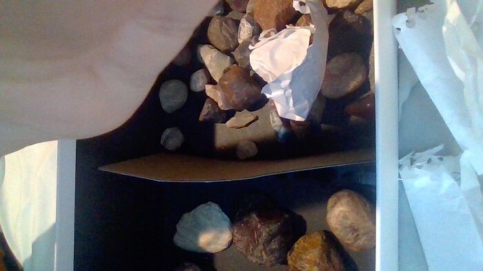 Most Of My Rocks!! They Are Divided Into Smaller And Bigger And I Have A Small Container For The Very Small Ones. They Are My Pride And Joy (Other Than My Pets)