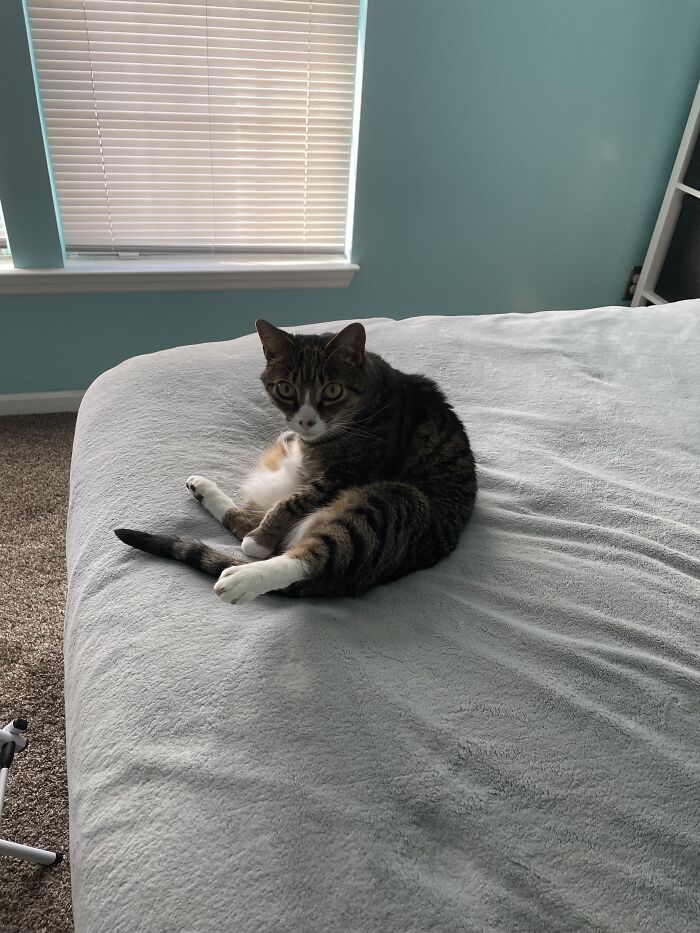 I Found The Best Photos Of My Pets