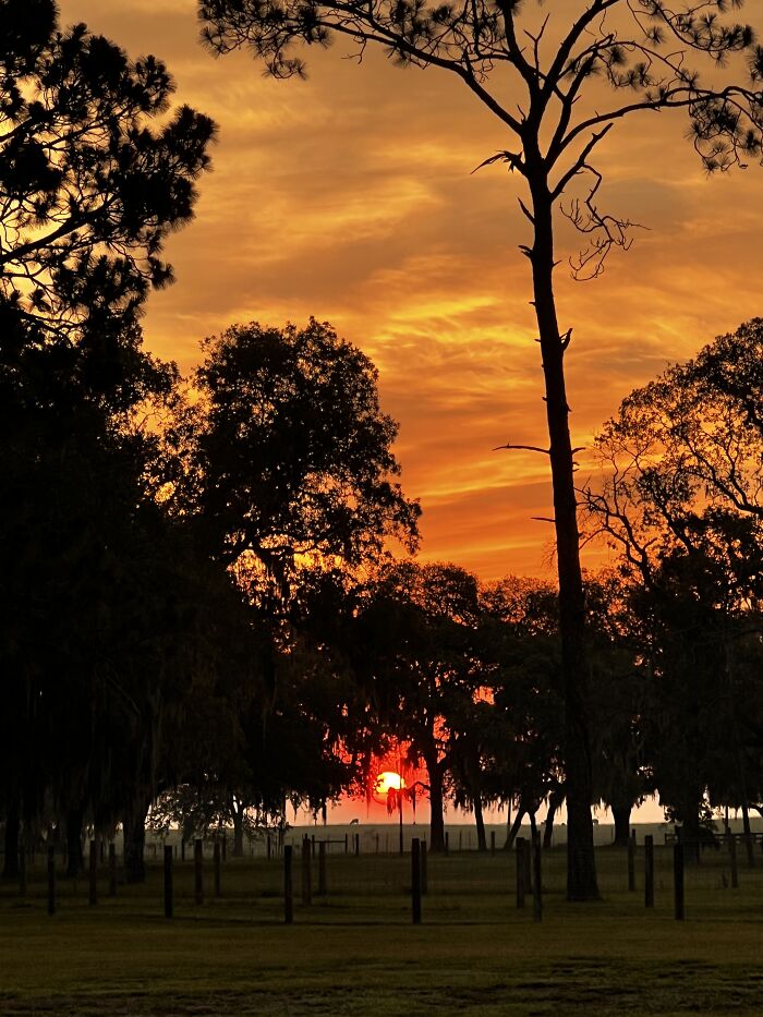 Sunrise On The Farm