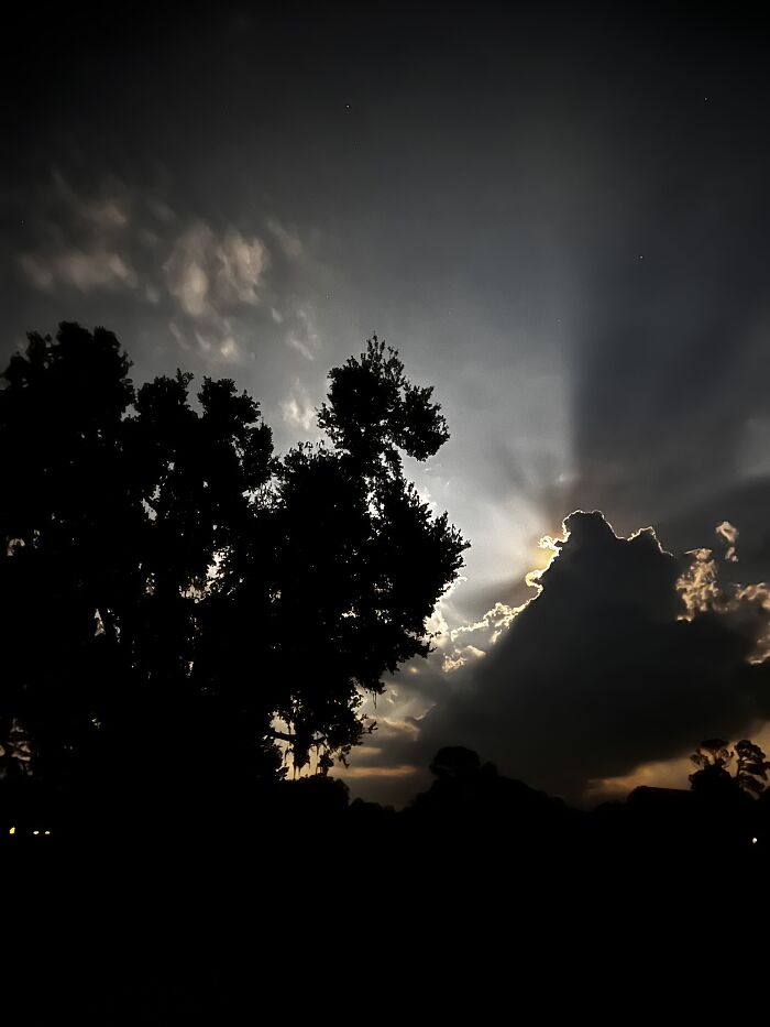 Central Florida Nights