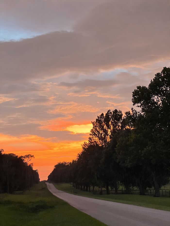 Driving Into The Sunset