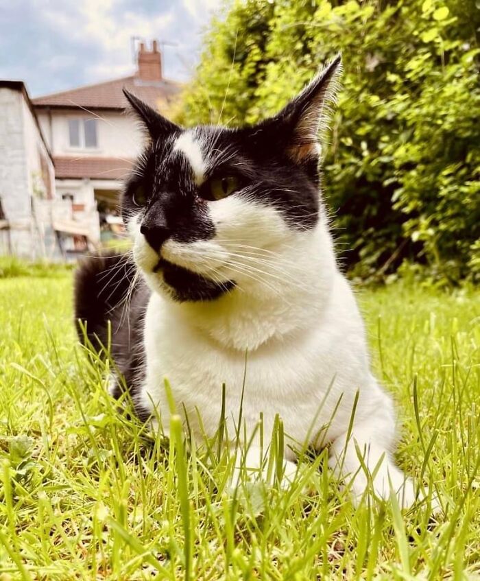 Lil’ Bob - My Wonderful Black (& White) Boy ❤️