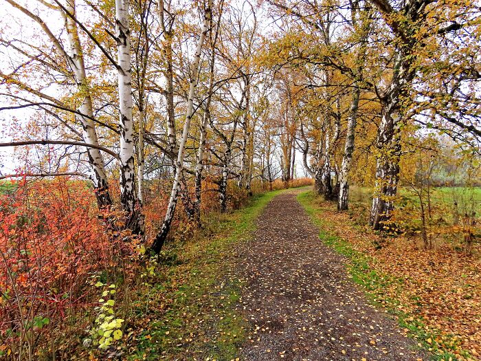 Delta - Vancouver - Bc Canada, A Picture Of My Friend