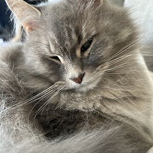 kristinlwalters avatar