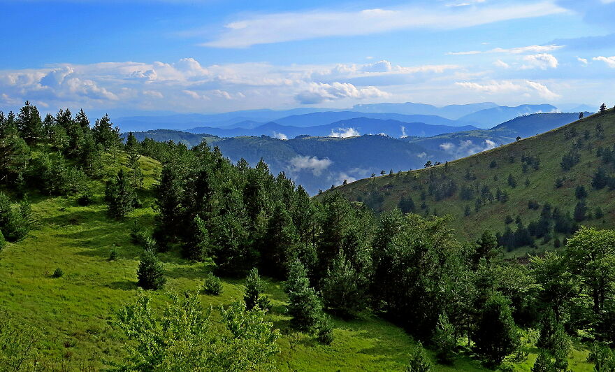 Tara Mountain - Serbia